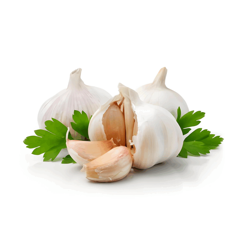 Garlic